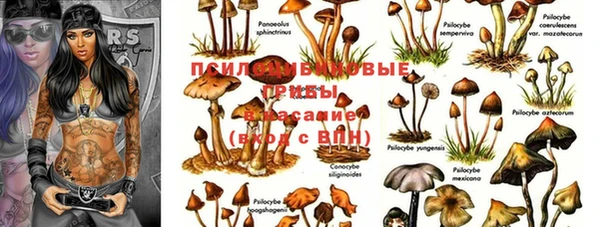 кокаин премиум Беломорск