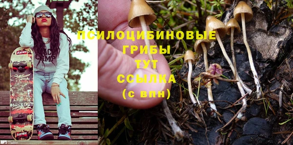 стафф Белокуриха